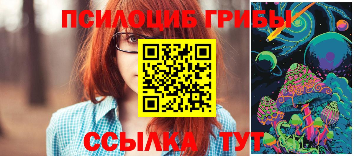 Псилоцибиновые грибы прущие грибы Первоуральск